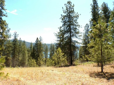 Lake Home For Sale in Kettle Falls, Washington