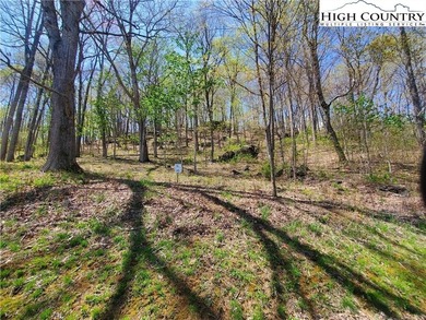 Lake Acreage For Sale in Todd, North Carolina