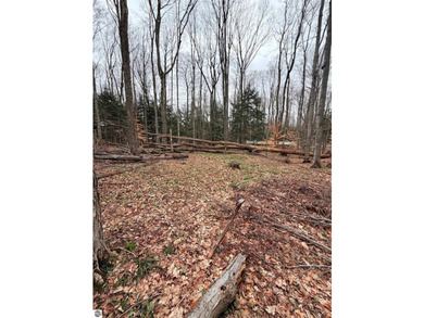 A rare treasure! Enjoy tranquil views of private PIKES LAKE near - photo 22