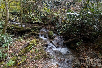 Completely updated 3 bedroom, 2 bath home on 2.55 private acres - photo 32