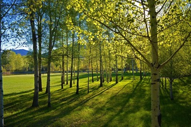 Rare opportunity to create a dream mountain resort compound on - photo 15