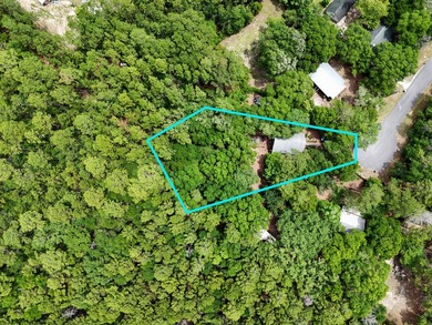 Florida cottage on .79 acres - totally renovated and nestled in - photo 41