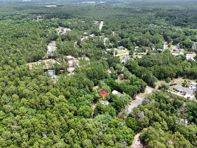 Florida cottage on .79 acres - totally renovated and nestled in - photo 43