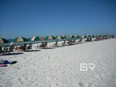 Welcome to Paradise! This is the one you've been waiting for - photo 45