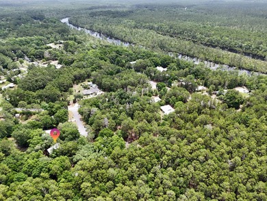 Florida cottage on .79 acres - totally renovated and nestled in - photo 46