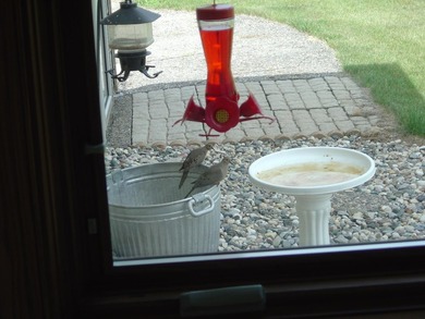 Discover one of Starbuck's best-kept secrets-an extraordinary - photo 52