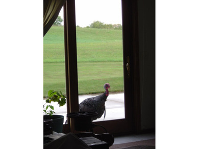 Discover one of Starbuck's best-kept secrets-an extraordinary - photo 53