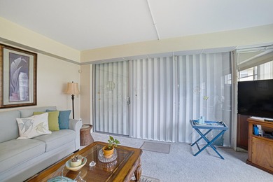 LOTS OF NATURAL LIGHT ENHANCE THE PANORAMIC VIEW OF GOLF AND - photo 16