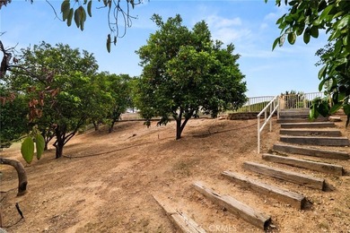 30587 Los Altos - photo 31