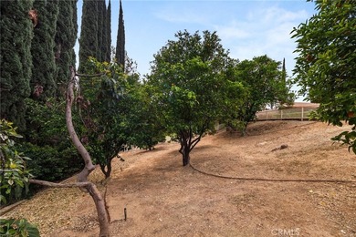 30587 Los Altos - photo 32
