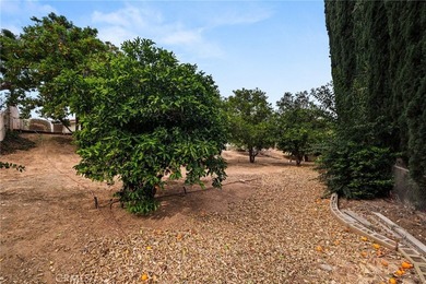 30587 Los Altos - photo 33