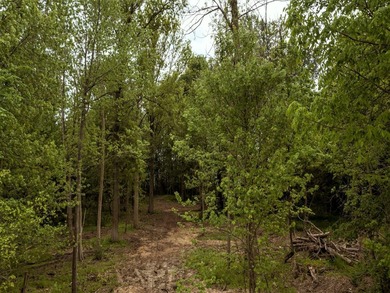 LAKEFRONT & CHANNEL FRONT! Approximate water frontage is 400 - photo 6