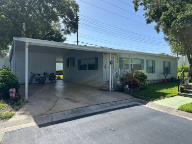 (private lake, pond, creek) Home For Sale in Palm Harbor Florida