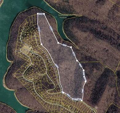Are you looking lakeview property? You will have a beautiful - photo 12