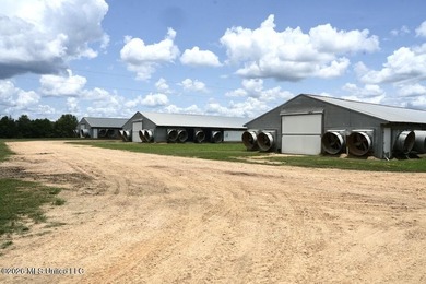 If you're searching for a turnkey 6-house broiler poultry farm - photo 17