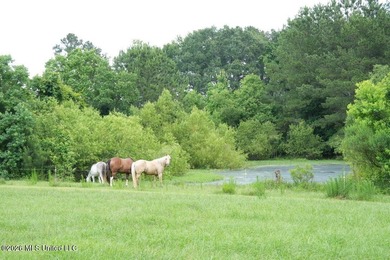 If you're searching for a turnkey 6-house broiler poultry farm - photo 19