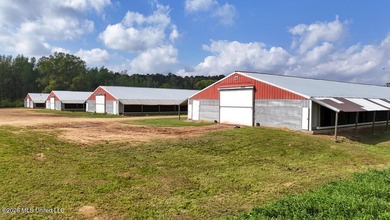 If you're searching for a turnkey 6-house broiler poultry farm - photo 21