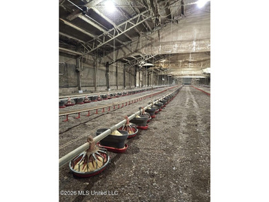 If you're searching for a turnkey 6-house broiler poultry farm - photo 30