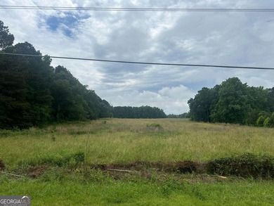 (private lake, pond, creek) Acreage For Sale in Fayetteville Georgia