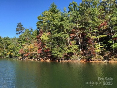 Build your Lake James dream home on the 2.53-acre lot with boat - photo 2