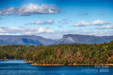 Build your Lake James dream home on the 2.53-acre lot with boat - photo 4