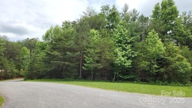 Build your Lake James dream home on the 2.53-acre lot with boat - photo 10