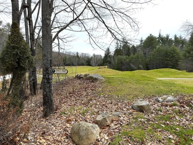 Lake Lot For Sale in Parsonsfield, Maine