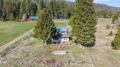 EXPANSIVE VIEWS OF LAKE CASCADE! This incredible property needs - photo 4