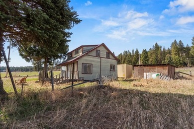 EXPANSIVE VIEWS OF LAKE CASCADE! This incredible property needs - photo 8