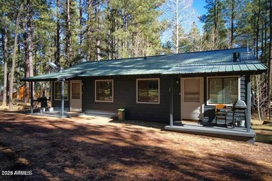Little Colorado River Home For Sale in Greer Arizona