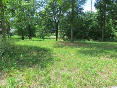 French Broad River Lot Sale Pending in Sevierville Tennessee
