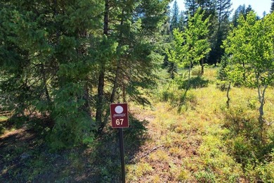 Build Your Legacy in Discovery Estates at Tamarack Resort - photo 3