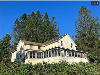 Lake Home For Sale in Hancock, New York
