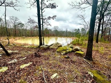 (private lake, pond, creek) Acreage For Sale in Honobia Oklahoma