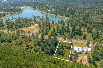Lake Lot For Sale in Brunswick, Georgia