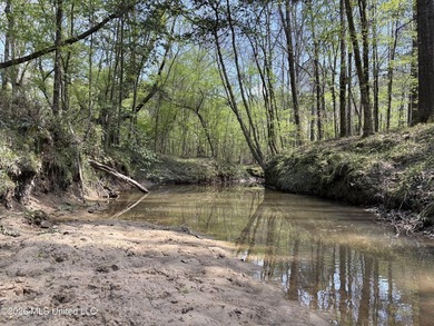If you've been searching for an affordable piece of land with - photo 1