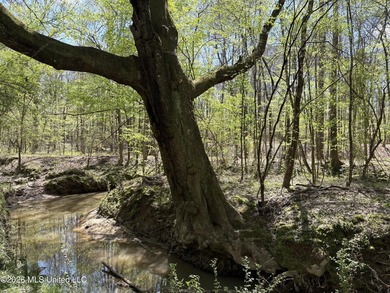 If you've been searching for an affordable piece of land with - photo 2