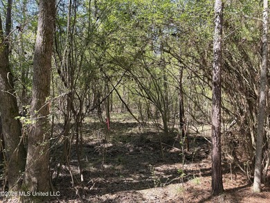 If you've been searching for an affordable piece of land with - photo 3