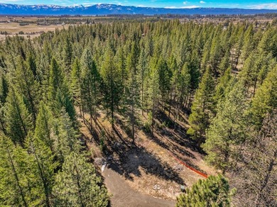 Mountain Estate lots in Jug Mountain Ranch. New homesites in - photo 4