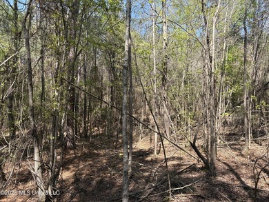 If you've been searching for an affordable piece of land with - photo 4