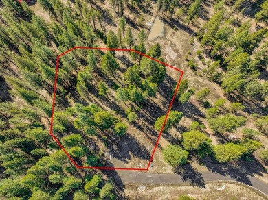 Mountain Estate lots in Jug Mountain Ranch. New homesites in - photo 5