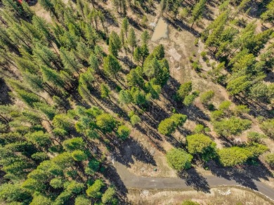 Mountain Estate lots in Jug Mountain Ranch. New homesites in - photo 6