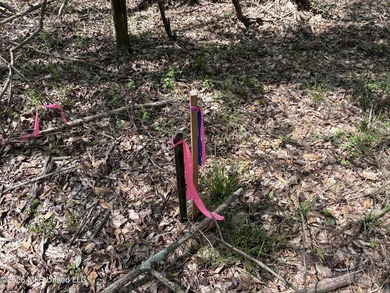 If you've been searching for an affordable piece of land with - photo 6