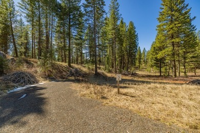 Mountain Estate lots in Jug Mountain Ranch. New homesites in - photo 7