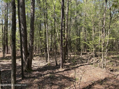 If you've been searching for an affordable piece of land with - photo 7