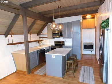 Investor's Special With A View! - photo 7
