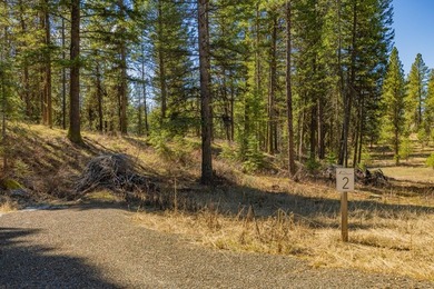 Mountain Estate lots in Jug Mountain Ranch. New homesites in - photo 8