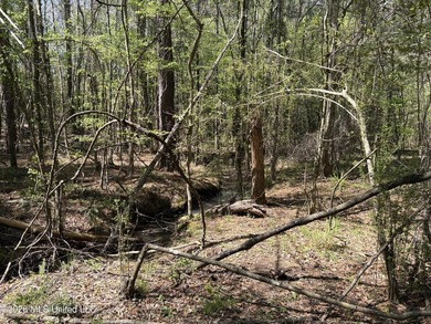 If you've been searching for an affordable piece of land with - photo 8