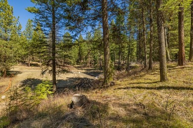 Mountain Estate lots in Jug Mountain Ranch. New homesites in - photo 9