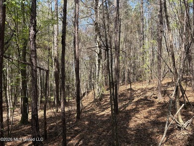 If you've been searching for an affordable piece of land with - photo 9
